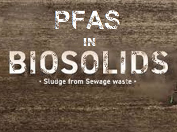 Rapidly Emerging Sector of PFAS Litigation